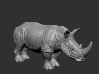 Rhinoceros model 3D model