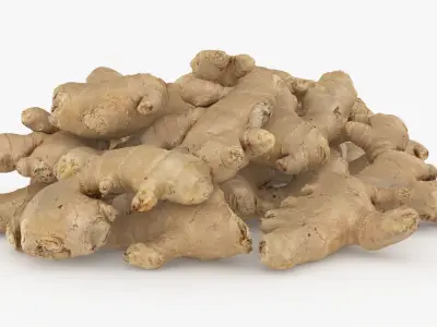 Pile Fresh Ginger Root 3D model