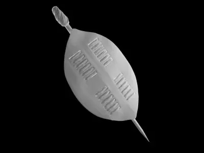 African Shield 3D model