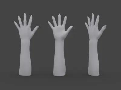 HAND-017 Woman right hand Low-poly 3D model