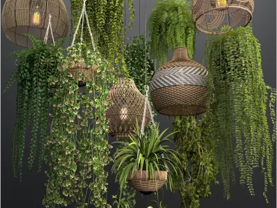 Rattan Pendant lights with hanged Plants 