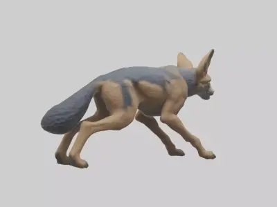 Jackal prowling model Low-poly 3D model