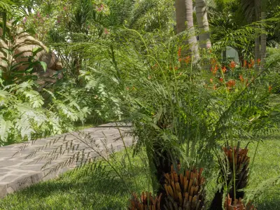 Collection 27 - Tropical garden 3D model