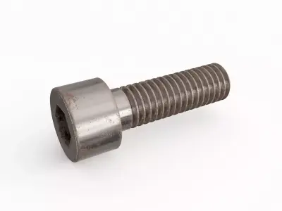 Screw 156 3D model