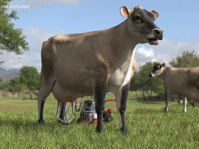 Jersey Dairy Cow and Milking Machine 3D model