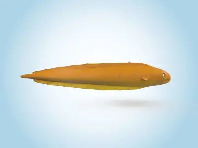 Eel Fish 3D model