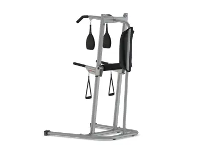 Bowflex BodyTower 3D model