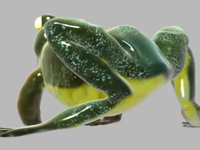 Frog With Basic Rig 3D model