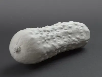 Cucumber pickle 3D model