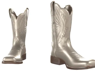 Gold Stitch Cowgirl Boots 3D model