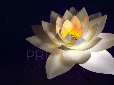 White Lotus- Water Lily 3d Animated 3D model