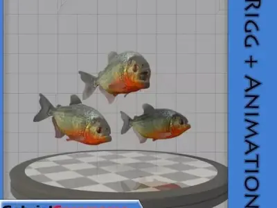Piranha 3D model buy