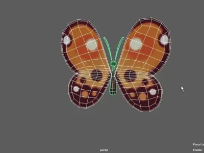 Butterfly 3D model 7