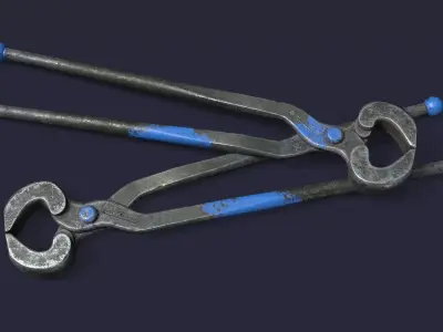 Ticks pincer 3D model