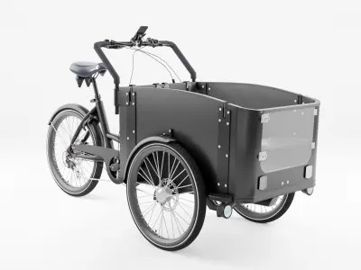 3D Model of Cargobike DeLight Dog Low-poly 3D model