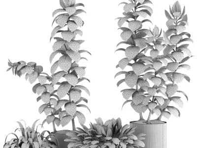 Indoor Plants in Ferm Living Bau Pot Large - Set027 3D model
