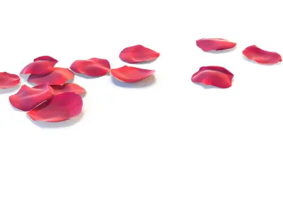 Realistic Rose Petals 3D Models - High-Quality 4K PBR Asset 3D model