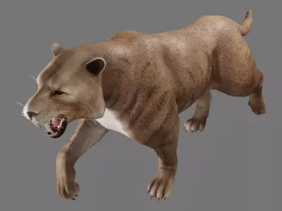  saber tooth 3D model