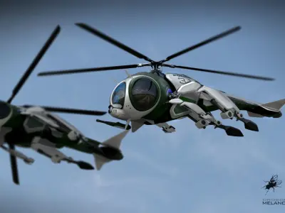 drosophila melanocopter Low-poly 3D model