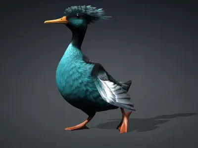 Duck-B2 3D model