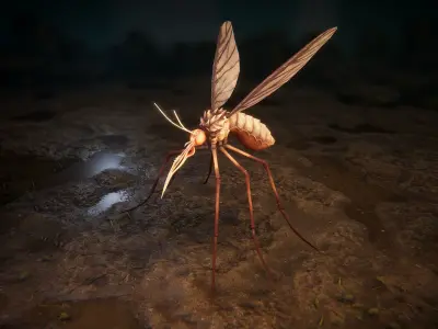 Mosquitos pack Low-poly 3D model