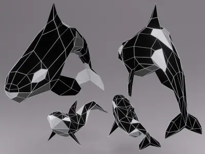Orca Whale Low Poly Model  Low-poly 3D model