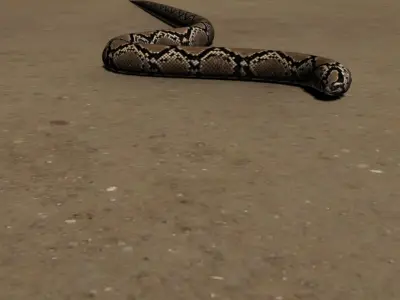 Snake Free 3D model 6