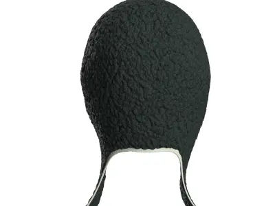 Sherpa Hat 3D model