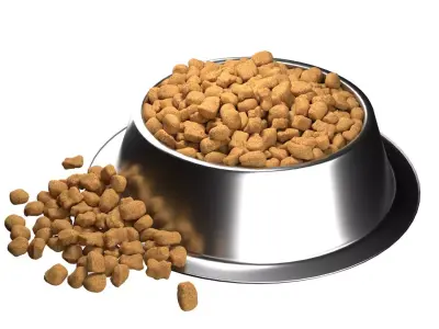 Dog food bowl 3  Low-poly 3D model