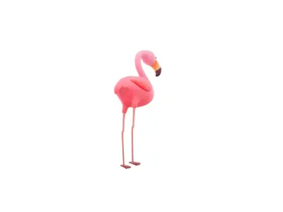 Character304 Flamingo 3D model