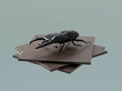 House Decoration Stag Beetle Statue Low-poly 3D model