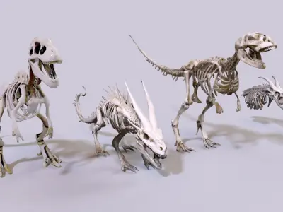 Ultimate Skeleton and Skull Pack - 62 game-ready lowpoly assets Low-poly 3D model