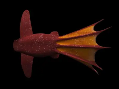 3d Vampire Squid Fish Low-poly 3D model