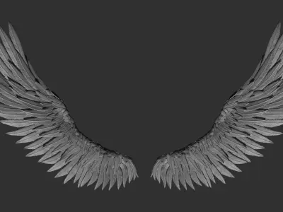 Wings pair of angel Free 3D print model