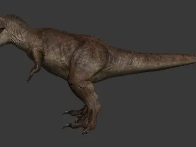 Tyrannosaurus Rex Low-poly 3D model 14