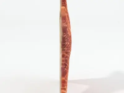 Starfish Low-poly 3D model shop