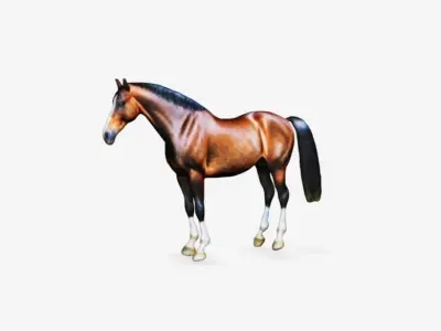 High quality horse model Low-poly 3D model