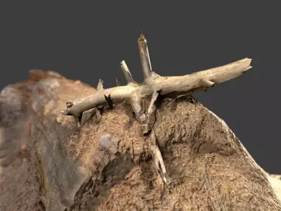 Ant Nest Log Low-poly 3D model