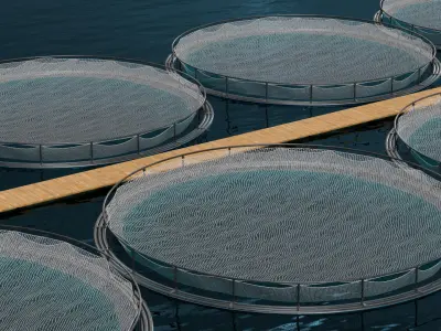 Floating Circular Fish Farm on Water with Walkway 3D model