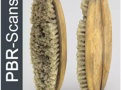 Brush Middle Poly 3D model