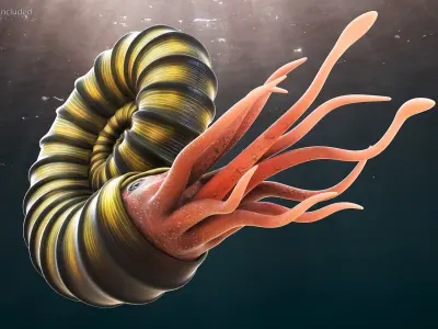 Ammonite 3D model purchase