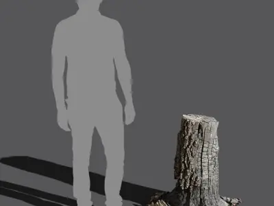  Tall Burned Cut Deciduous Stump Model 
