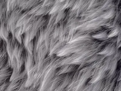 Fur Substance Material and Texture