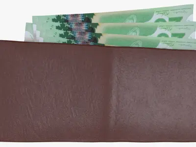 Canada 20 Dollar Wallet Money Purse 3D model