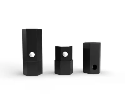 Hexagon CRP Childproof Button Box 3D model