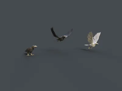 Mobile Crow Low-poly 3D model
