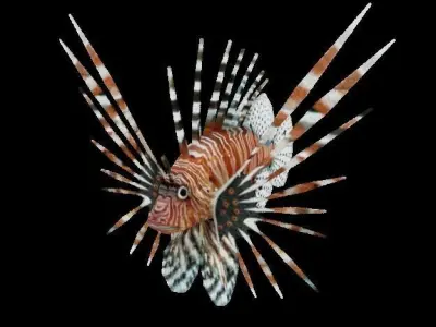 Lionfish lion flying in air Low-poly 3D model