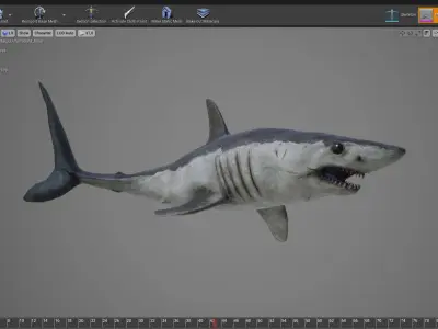 Mako Shark Low-poly 3D model purchase