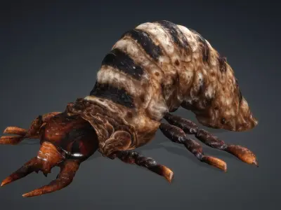 Larval-V1c 3D model