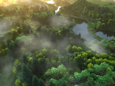  River Stream water Wetland 